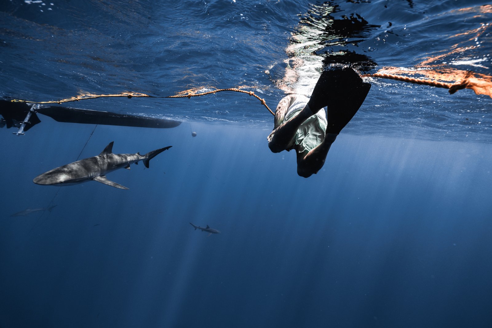 Professional portrait of Lou Kim