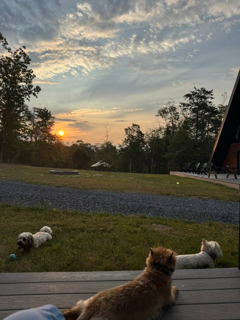 Professional Portrait